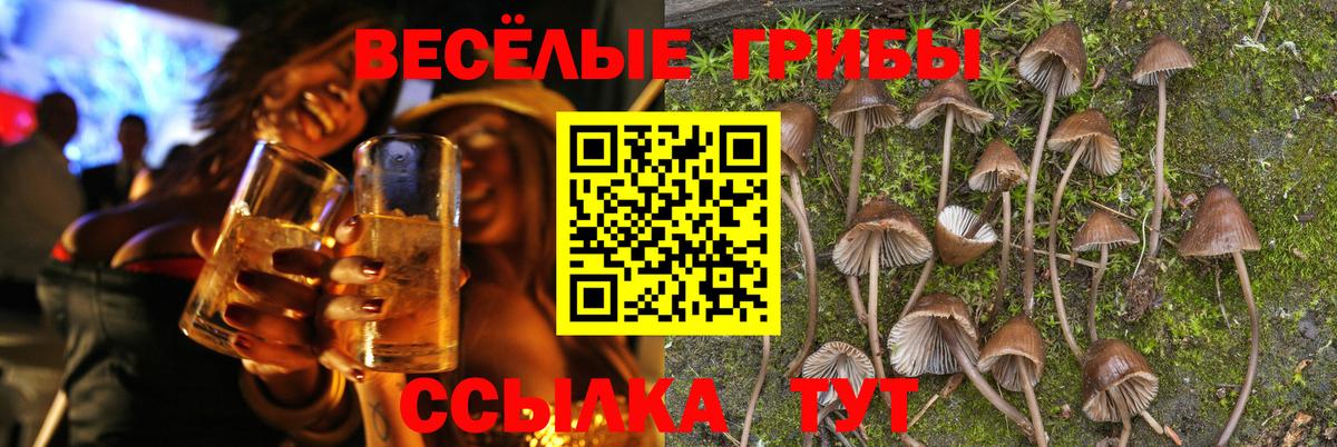 Псилоцибиновые грибы ЛСД Партизанск