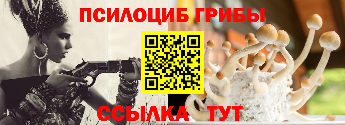 Партизанск  Псилоцибиновые грибы ЛСД  Вход с VPN 
